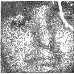 Jorma & The Satellite