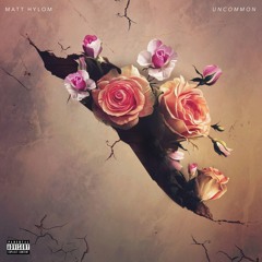 matt hylom let it be