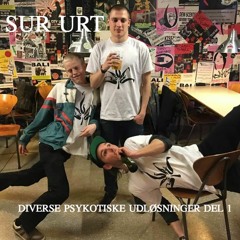 1. SUR URT - TRÆT & AMBITIØS (PAS PÅ)