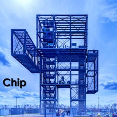 Chip
