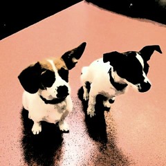 Brendan n Nicole Wedding Rap remix