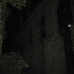 Ilha Grande - Al otro lado del acueducto - Piedras & aceite de ballena - Rave forestal