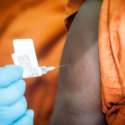 Brasil doa vacinas contra raiva humana para o Haiti