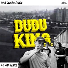Dudu King - N.Y.A.S(Aowu remix)