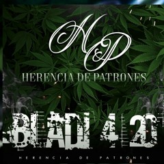 Herencia De Patrones - Bladi 420