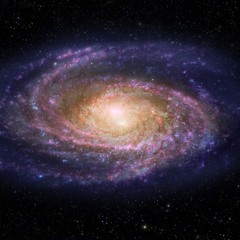 Golden Record: The Sounds of Earth