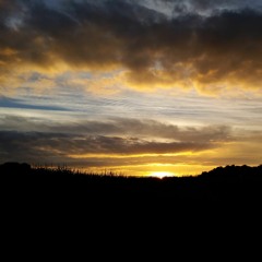 Heart Shapped Box  (Nirvana Cover)