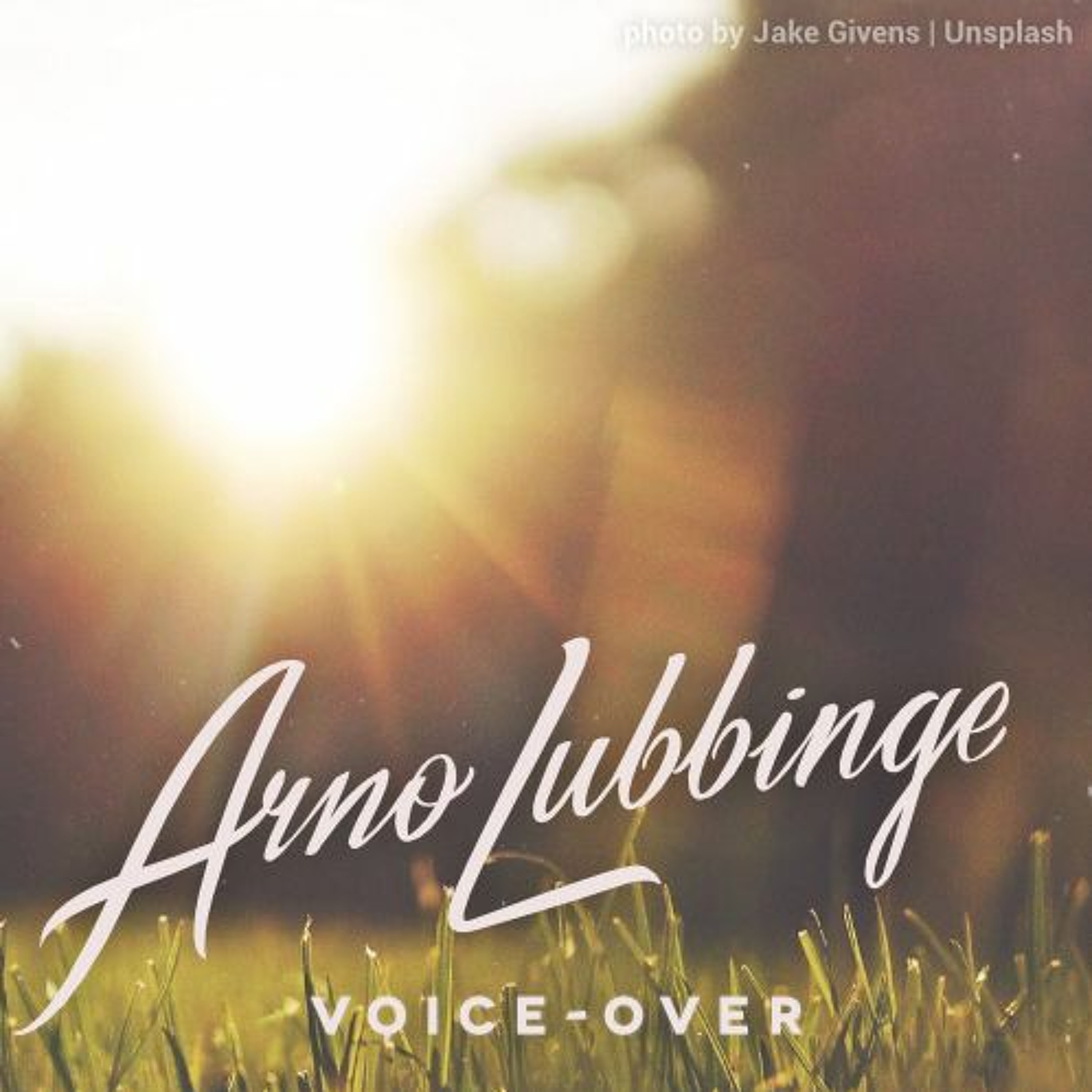 Arno Lubbinge, voice-over