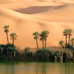 shafi