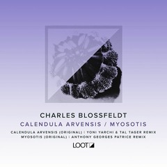 Download: Charles Blossfeldt - Myosotis (Anthony Georges Patrice Remix)