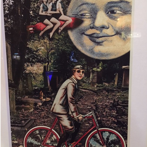 The Spotter Caught Herself a Fly