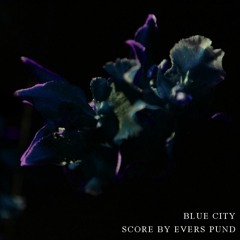 Blue City Score