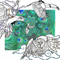 Birth Of A Colibri (Interlude)