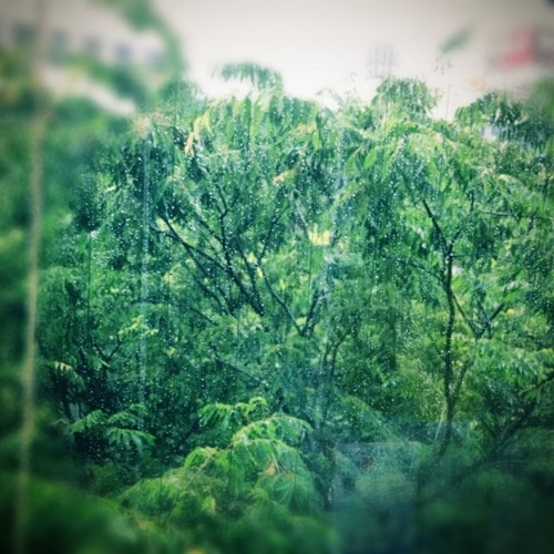 Stream レイニーブルー 徳永英明 Cover By 花桜 Kao Listen Online For Free On Soundcloud
