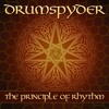 Drumspyder - Lynx