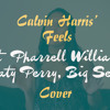 Calvin Harris - Feels Ft Pharrell Williams Katy Perry Big Sean Cover By Vrishti Pires Calvin Harris - Feels Ft Pharrell Williams Katy Perry Big Sean Cover By Vrishti Pires