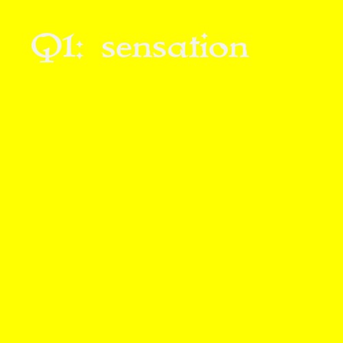 Q1: sensation