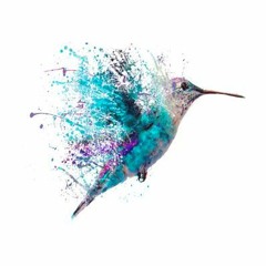 How To Kill A Hummingbird: Improvisation On Depression, Anxiety, and Happiness