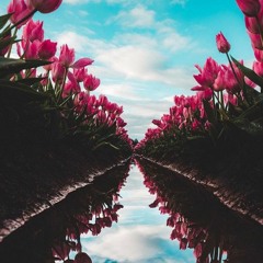 Make A Way*New TRIACE. PROD. BY TRIACE PRO