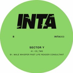INTA003 B1 SECTOR Y - MALE WHISPER PAST LIFE READER CONSULTANT