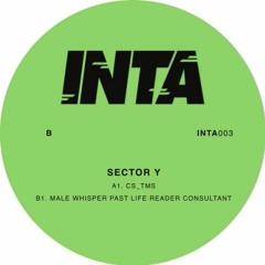 INTA003 SECTOR Y