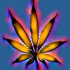 Zooted Dyce Mode Ft. Raid