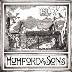 Mumford and Sons - Feel the Tide
