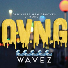 OLD VIBES NEW GROOVES #2