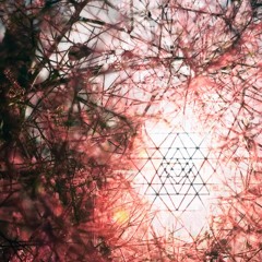 The Aurora of June(Sun spirit festival 2017 morning session)