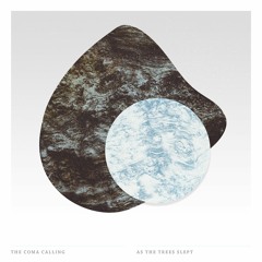 1. As The Trees Slept - For Rosemary