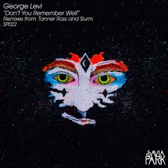 George Levi, Lydian - Dont You Remember Well (Tanner Ross Remix)