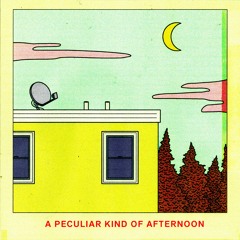 1. A Peculiar Kind Of Afternoon