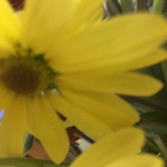 How Do You Feel - Save The World