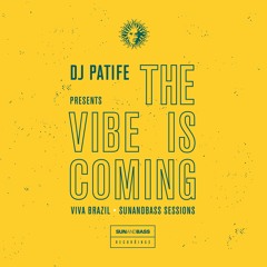 DJ Patife & David WS - The Vibe Is Coming ft. Fats - SUNANDBASS/V Recordings