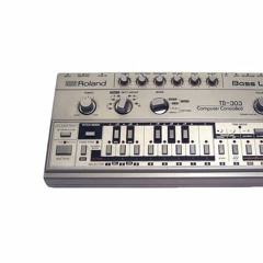 Main Synth Gallery / Roland Tb303