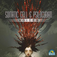 Somatic Cell vs. Psilocybian - Voices (Out now on BMSS Records)