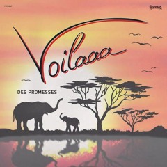 Voilaaa - Des Promesses [Vol.2] (Album-2017)