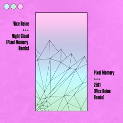 Pixel Memory - 2501 (Vice Reine Remix)