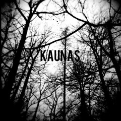 KAUNAS - Vandalism