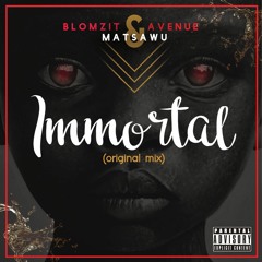 Blomzit Avenue feat. Dj Matsawu - ImmortalOriginal Mix)