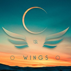 Cirklz - Wings mix 2017