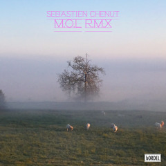 PREMIERE - Sebastien Chenut - Motor Of Love (Sutja Gutierrez Remix)(bORDEL)