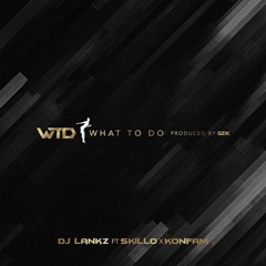 WTD - DJ LANKZ FT.SKILLO X KONFAM