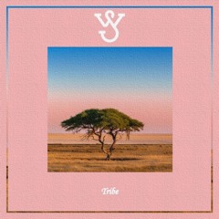 Tribe ( Original Mix )