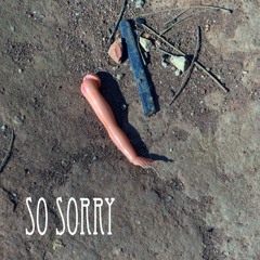 So Sorry (Demo)