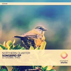Northern Quarter - Songbird