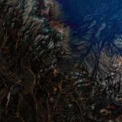 Sensitivity to Initial Conditions