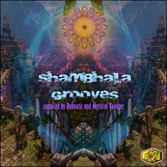 5.13 AM_VA.Shambala grooves_Visionary Shamanic records