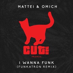 Mattei & Omich - I Wanna Funk (Funkatron Remix) [Cut Rec]