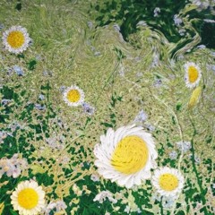 FunkFiles.035 :: Shapesift - "Hyphae Glade"